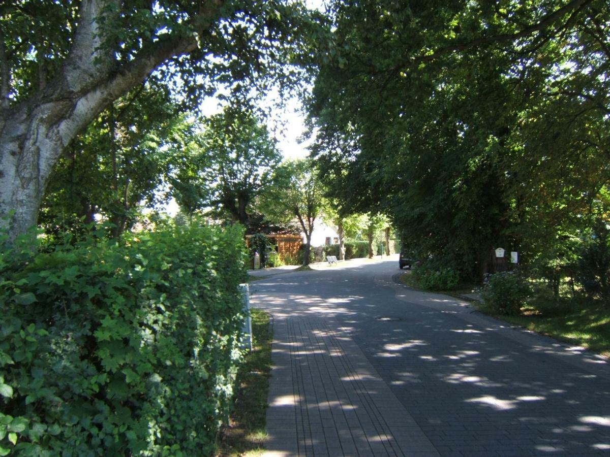 3-Zi-Ferienwohnung Piratennest 2 Zingst Exterior foto